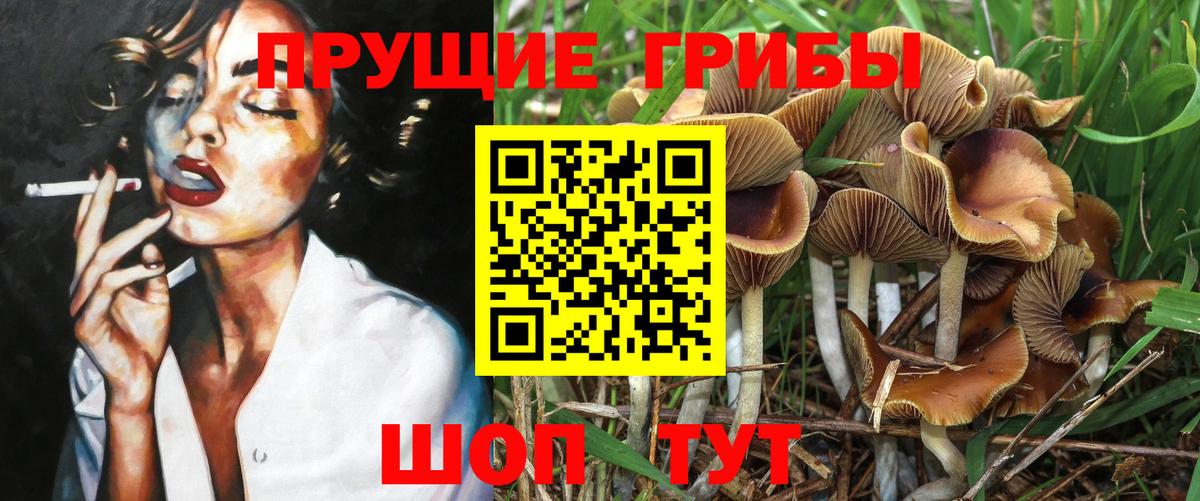 Псилоцибиновые грибы прущие грибы  Псилоцибиновые грибы GOLDEN TEACHER  Вход с VPN  Тулун 
